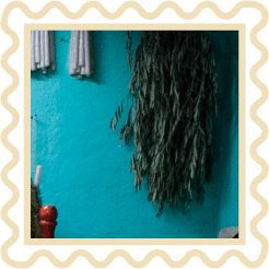 Las Cruces saludan al Cristo